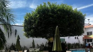 A well-maintained outdoor patio area with a pool, surrounded by a white wall and lush greenery. - Hotel portal de reyes  (San Juan del Río)