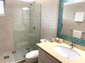 Shower, hair dryer - Breezy Beachfront Apartment: Turtles Nest C (Dover)