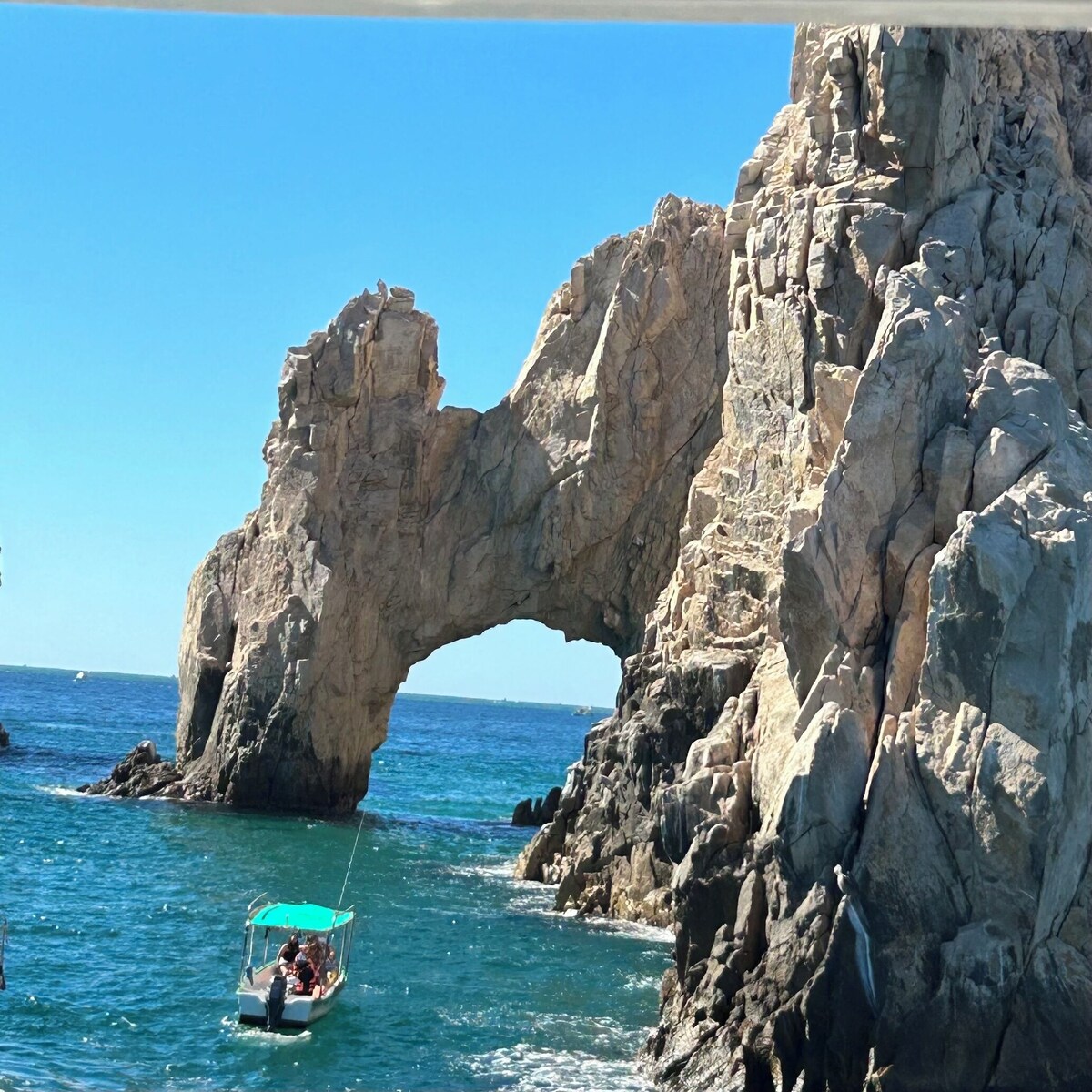 Imagen de perfil del propietario o de la propietaria