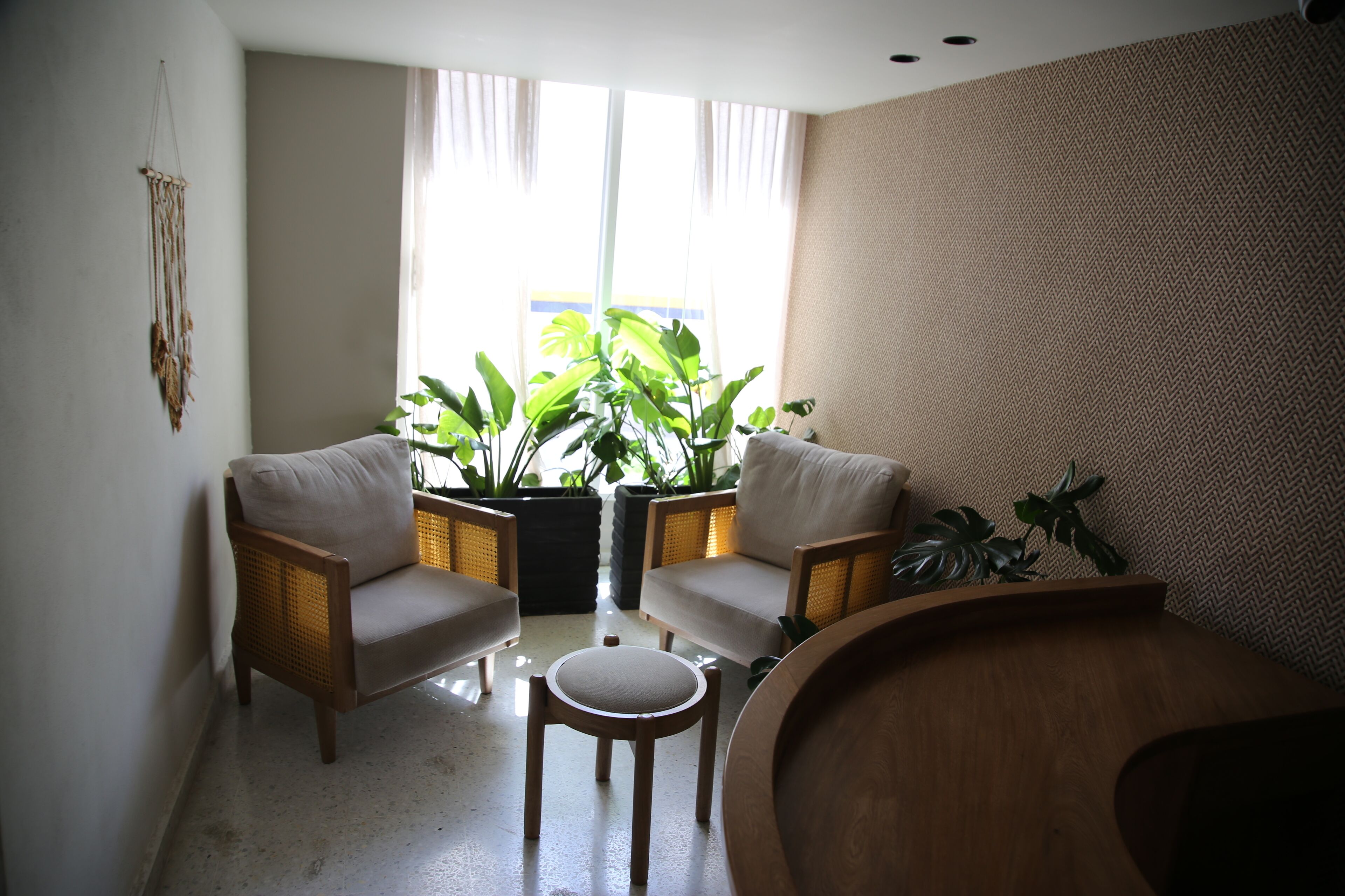 A living room with two sofas, a small round table, and a large potted plant.