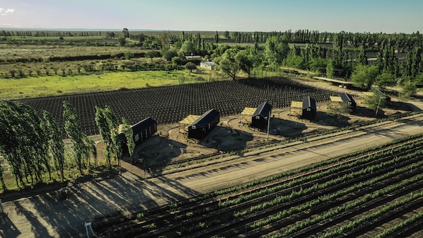 An aerial view of a vineyard with rows of grapevines, several buildings, and a clear sky.