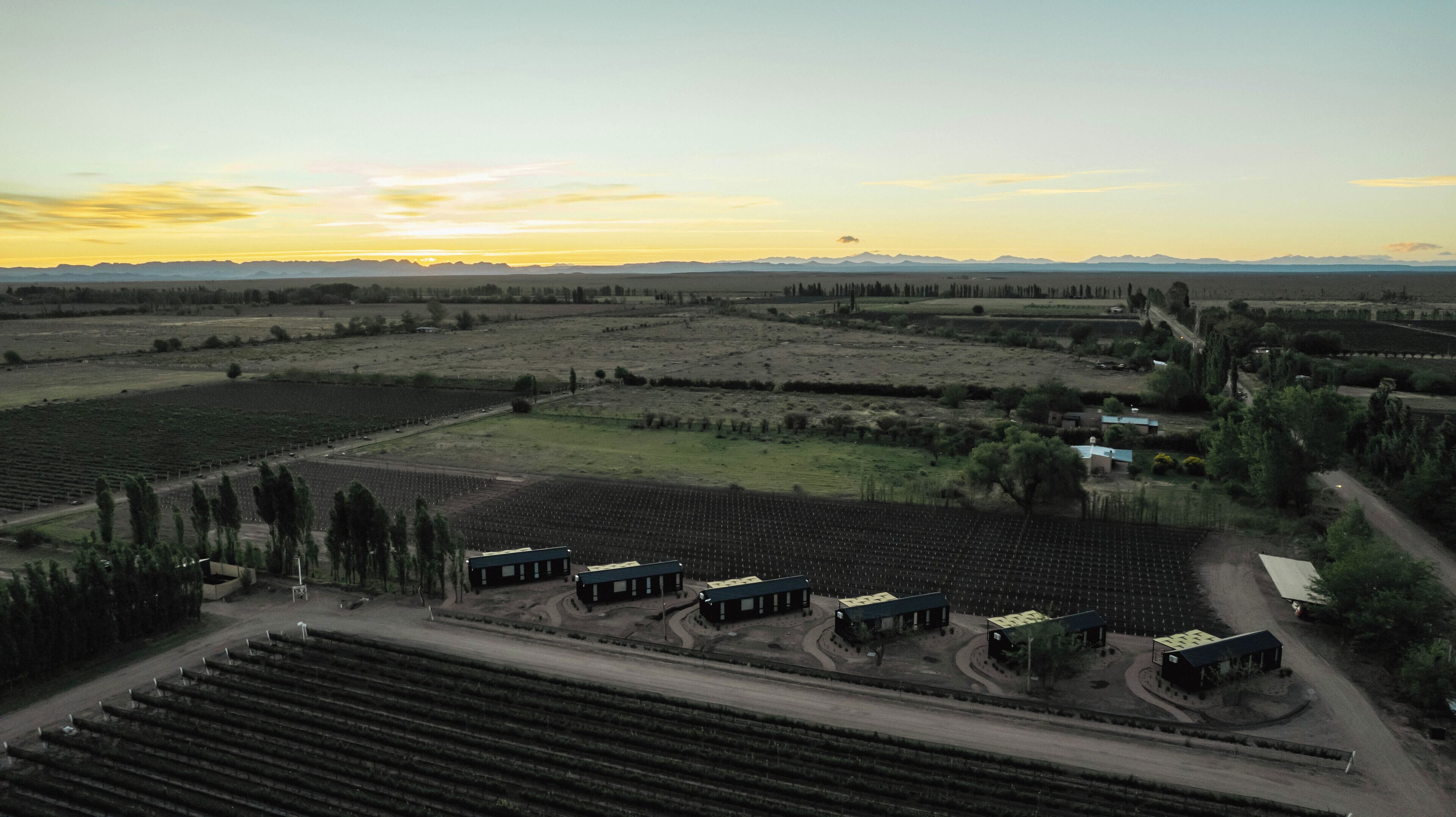 An aerial view of a vineyard with rows of grapevines, a few buildings, and a distant mountain range.