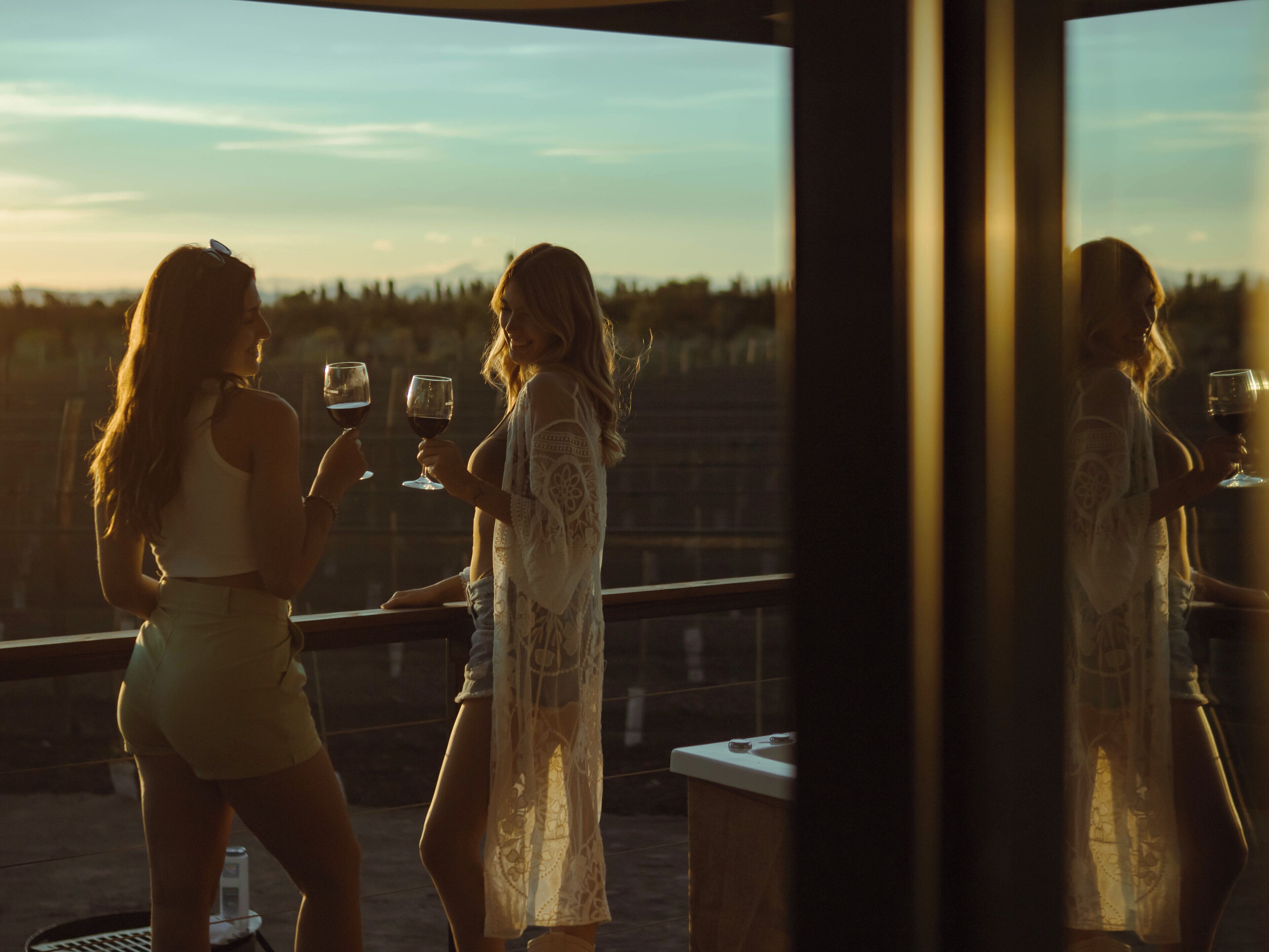 Two women toasting with wine glasses on a balcony with a view of a forested landscape.