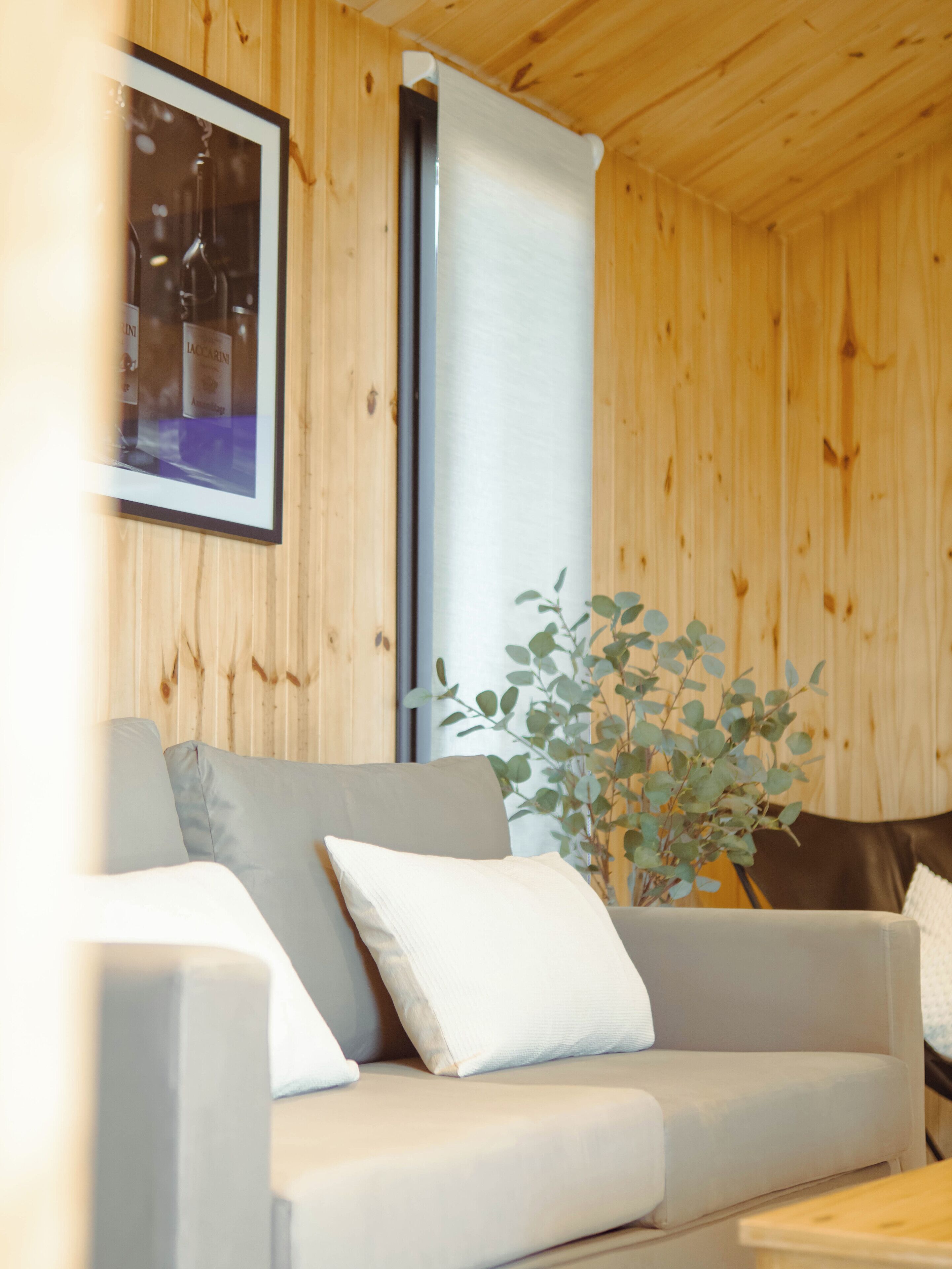 Smart TV 55 polegadas com canais a cabo, lareira, Netflix