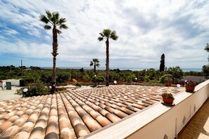 Terras
