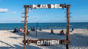A wooden sign with 'PLAYA DEL' and 'CARMEN' written on it, indicating a beach location. - Nalú: Loft with private plunge pool and ocean view (Playa del Carmen)