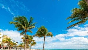 Une plage bordée de palmiers, sous un ciel bleu et dégagé.