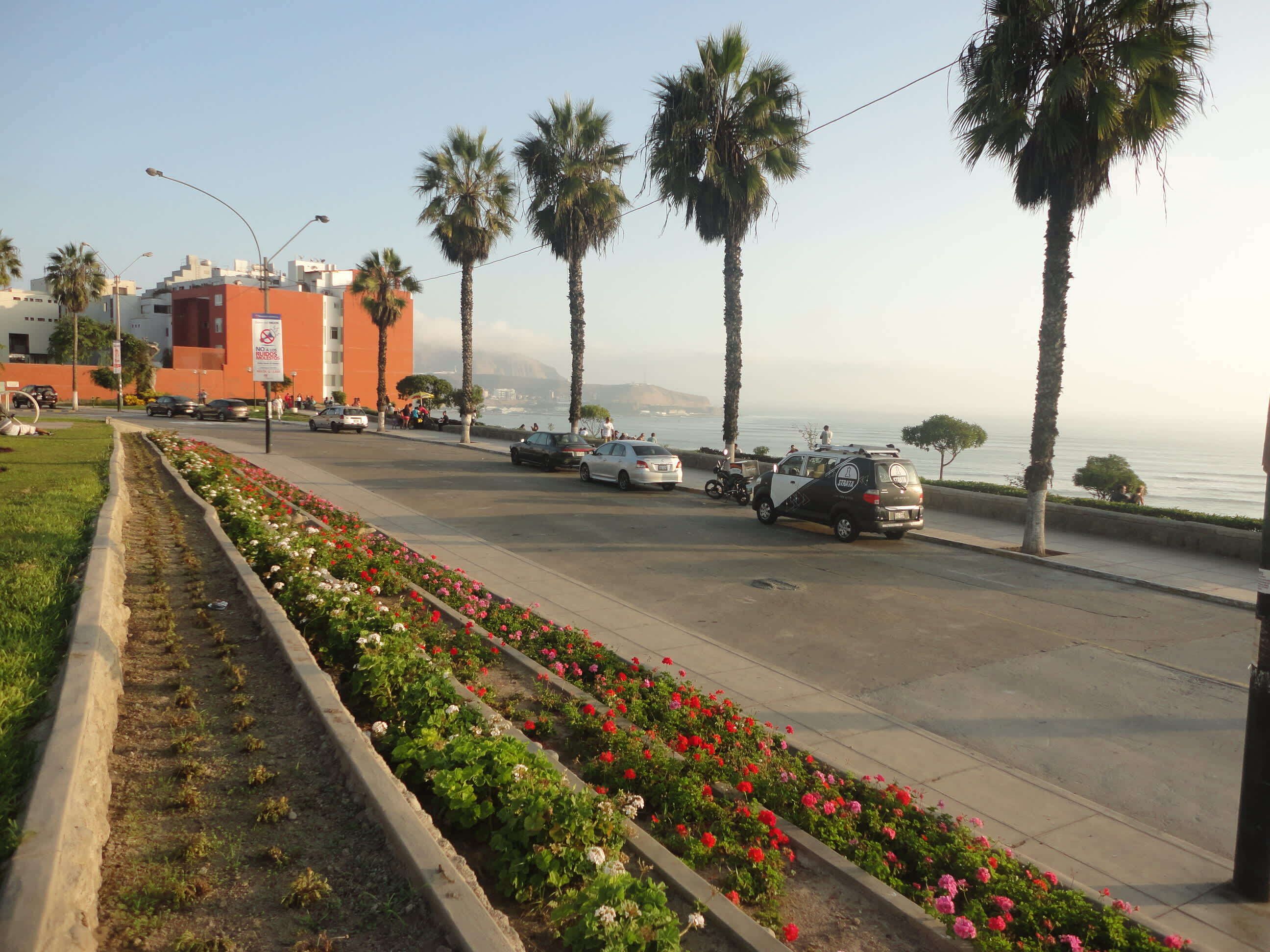 A coastal road with palm trees, parked cars, and a flower-lined median.