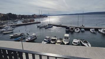 Apartment (One bedroom apartment II) | Balcony