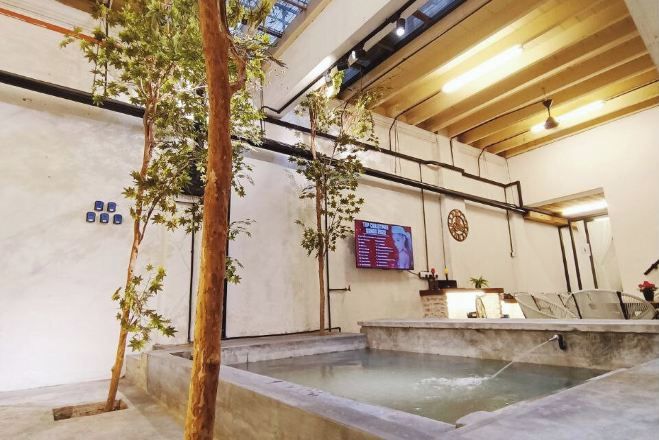 Un espace spa doté d’un jacuzzi, d’un plafond en bois et de plantes d’intérieur.