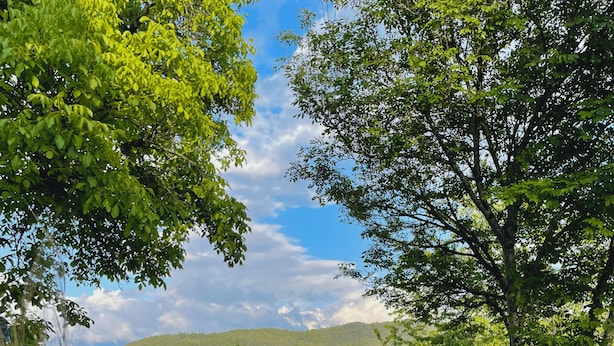 An infinity pool with a clear view of a lush green landscape and distant hills. - Idyllic apartment on the Ritten - peace, nature & views of the Dolomites. Mobilcard incl. (Trentino-Alto Adige)