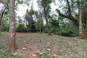 1 habitación 