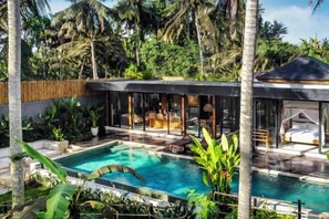 Outdoor pool - Villa Alba by BaliSuperHost (Bali)