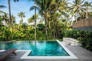 Outdoor pool - Villa Alba by BaliSuperHost (Bali)