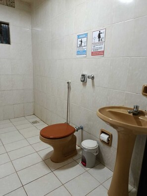 Chuveiro, sabonete, papel higiênico