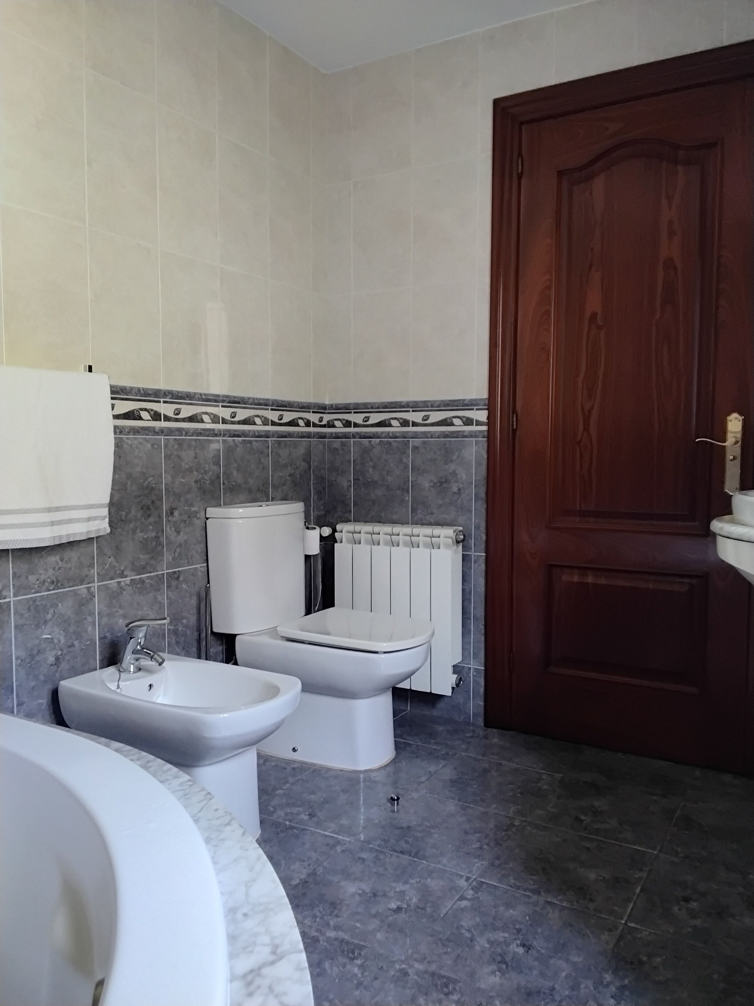 Ducha, bañera de hidromasaje, secador de pelo y bidé
