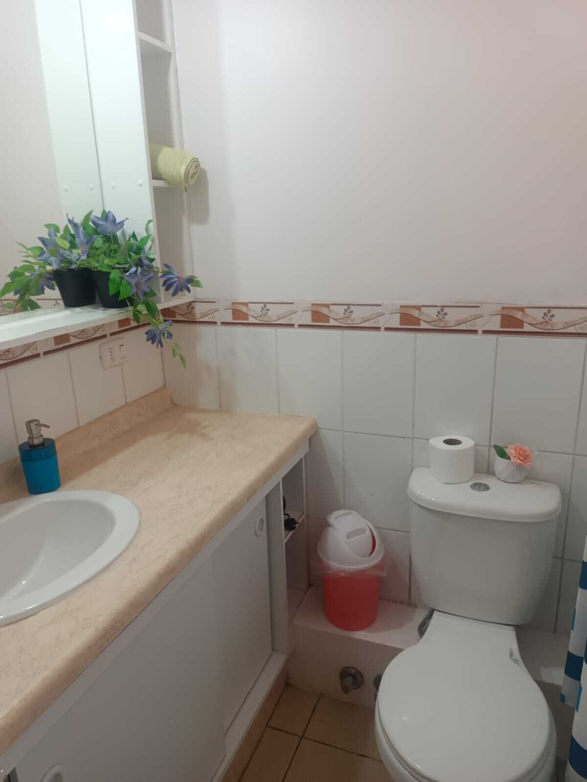 Regadera, secadora de cabello, toallas, papel de baño 