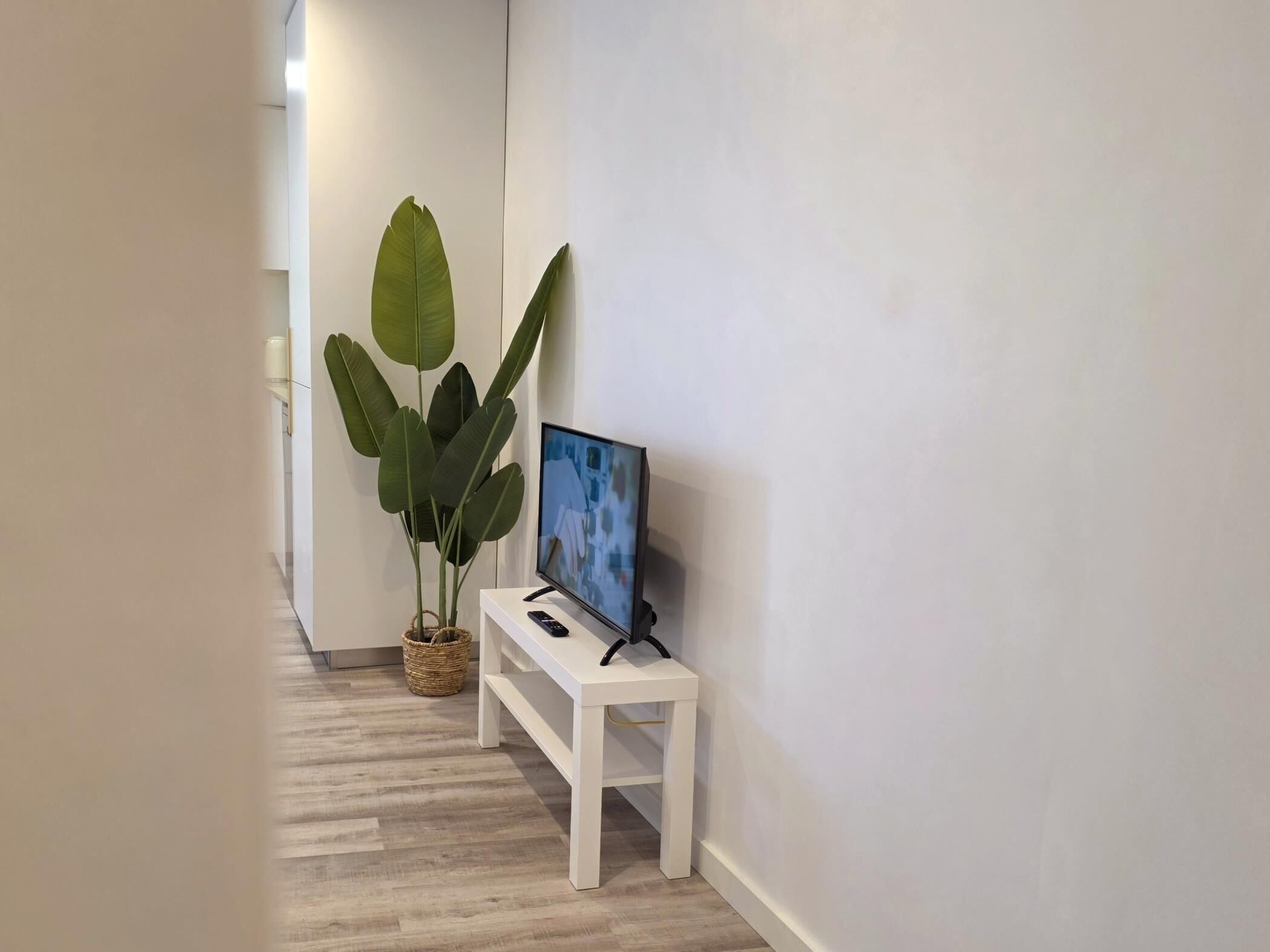 A hallway with a white bench, a television on a stand, and a large potted plant.