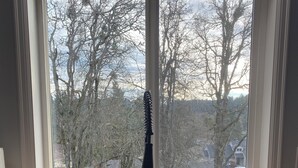 Moderni keittiöallas, jossa on tyylikäs hana, saippua-annostelija ja sieni puupintaisella työtasolla.