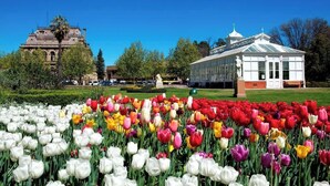 Ein Garten mit verschiedenen Tulpen und einer weißen, gazeboartigen Struktur.
