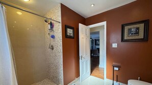 A bathroom with a shower, toilet, and a door leading to another room.