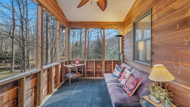 TV, fireplace - Khan River Cabin - Riverfront | Wifi | Firepit | Wood Stove | Screen Porch (Great Cacapon)