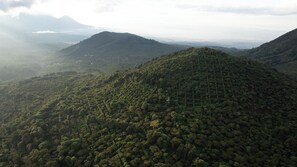 Miscellaneous - Villa de Vientos, Your Escape from the City, Apt. 2 (Apaneca)