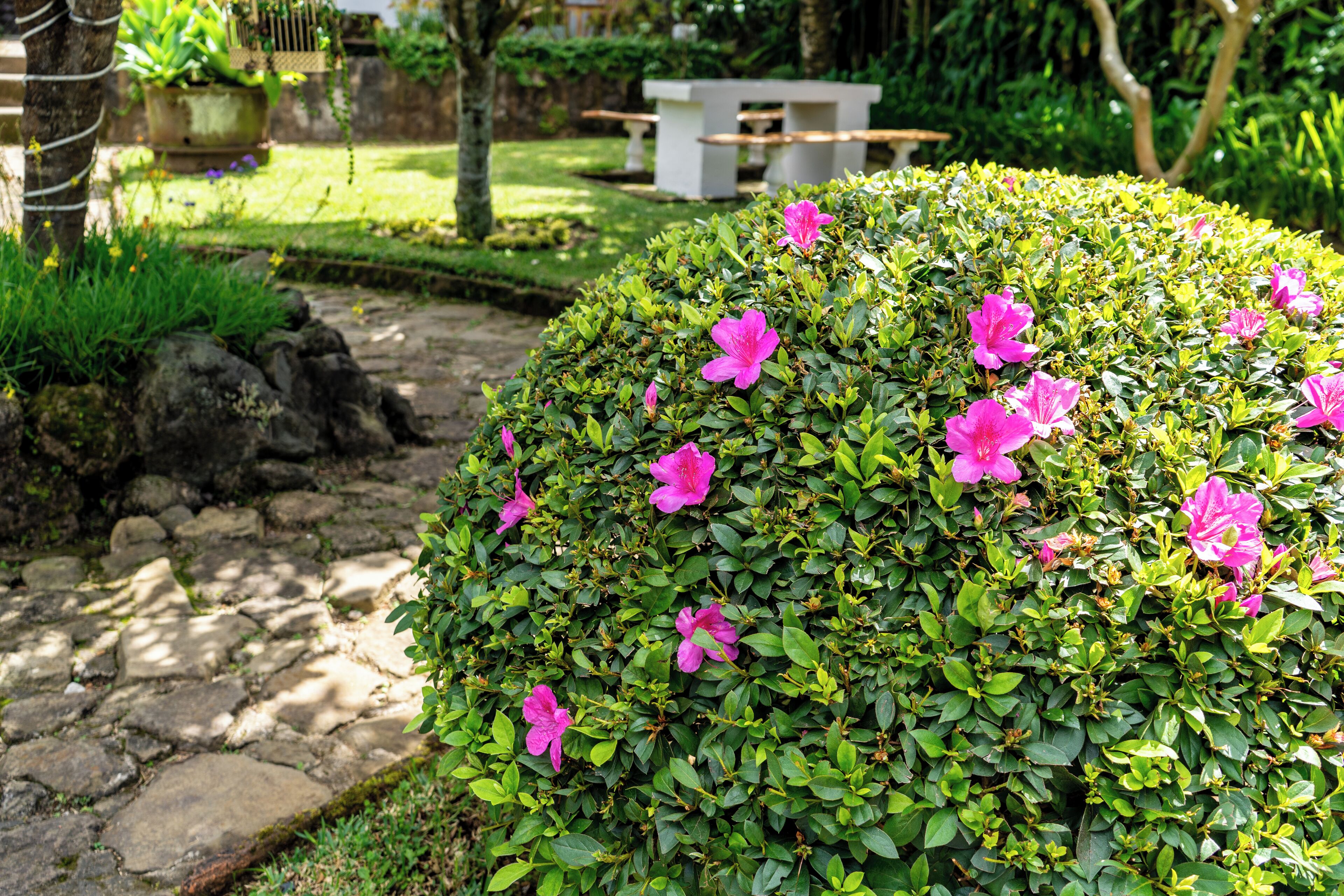 Jardines del alojamiento