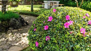 Jardines del alojamiento