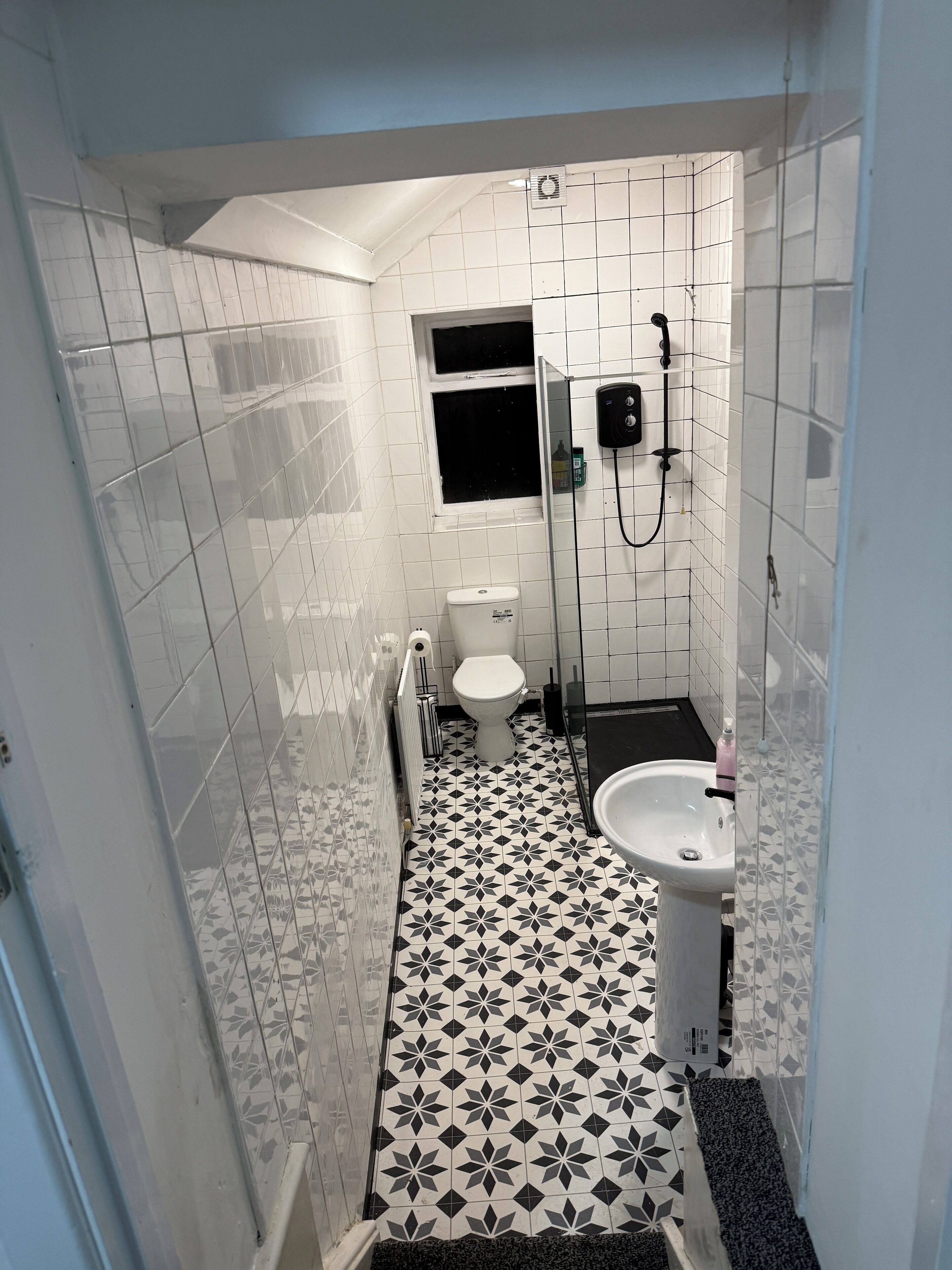 Hair dryer, bidet, towels, soap