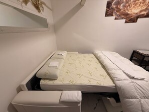 1 bedroom, iron/ironing board, WiFi, bed sheets - Paris 15, Pasteur, Montparnasse, Hôpital Saint Josep, Alésia... (Paris)