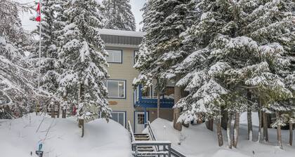 Spacious 3 bedroom cabin w/hot tub, pet-friendly, close to village and trails