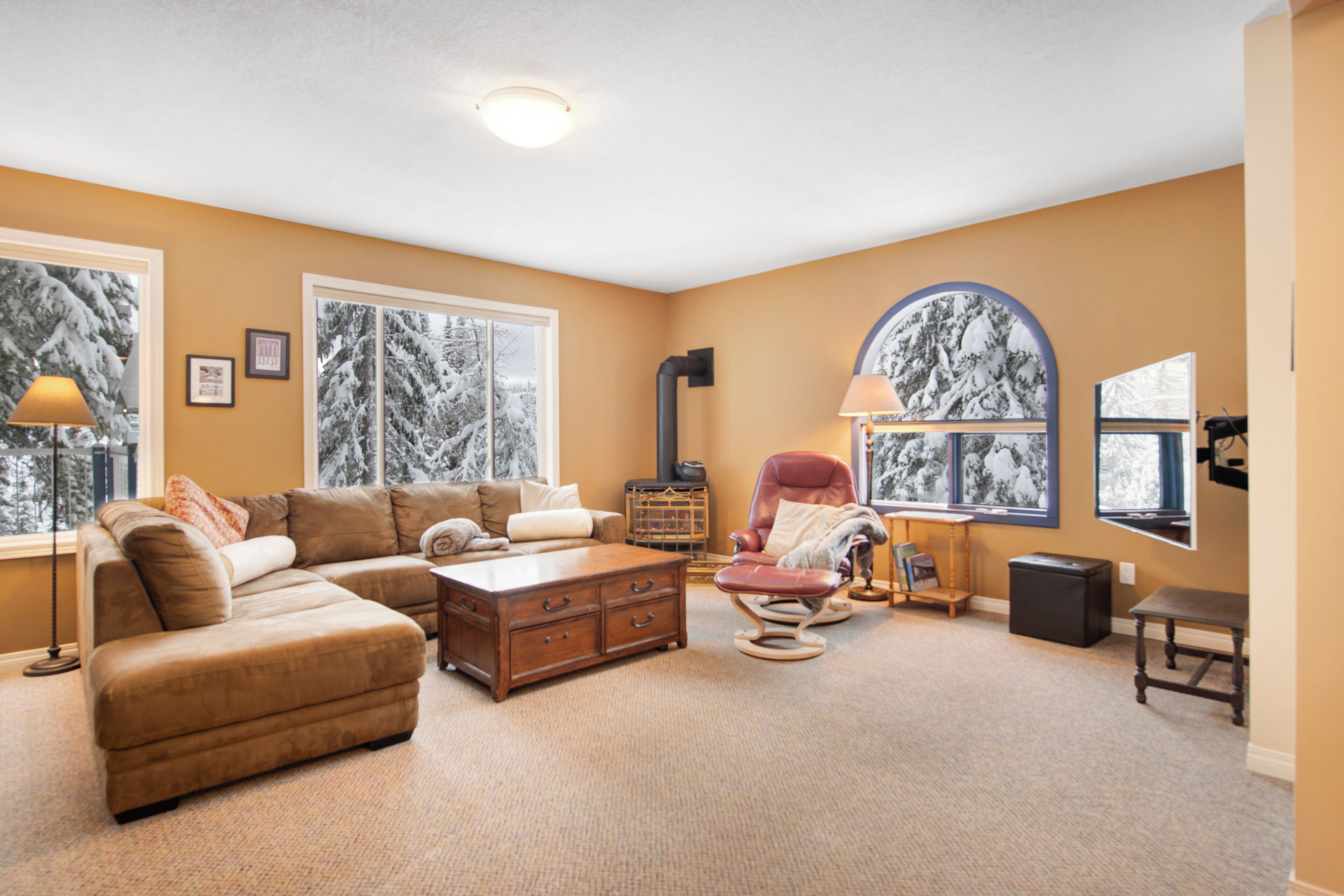 Televisión, chimenea y reproductor de DVD 