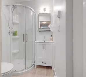 Douche, séchoir à cheveux, serviettes fournies, savon