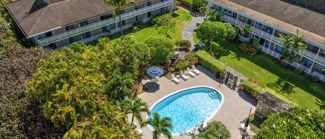 Vista aérea de un hotel con piscina, rodeado de palmeras y tumbonas.