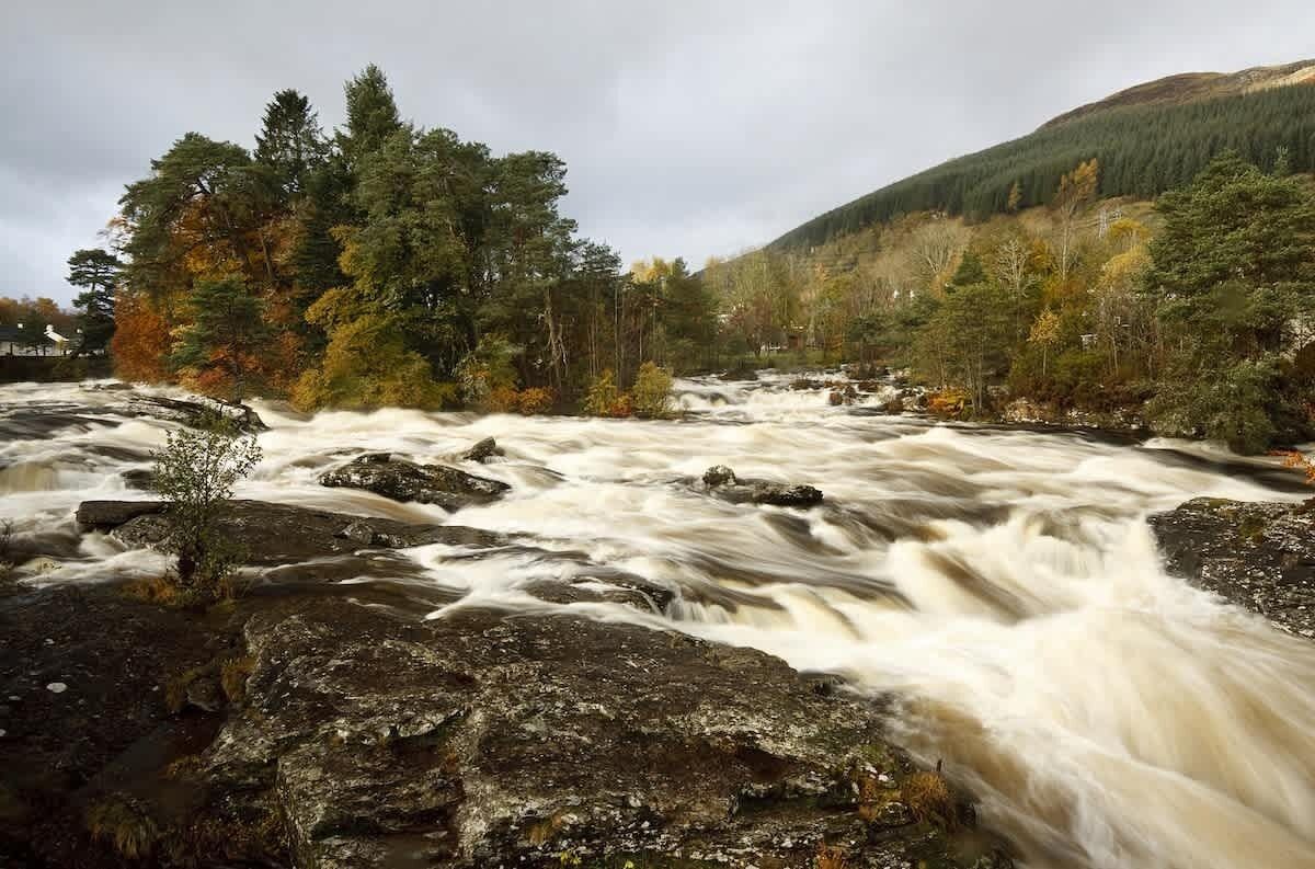 A river flowing through a forested area with rocky terrain.