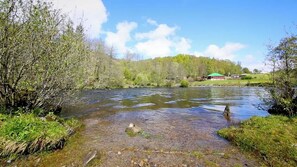 Unclassified image, 5 of 20, button