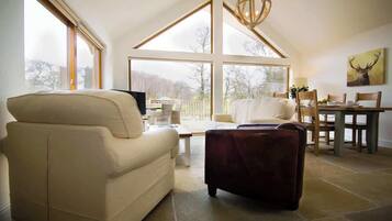 Télévision, chaßne hi-fi, espaces bureaux