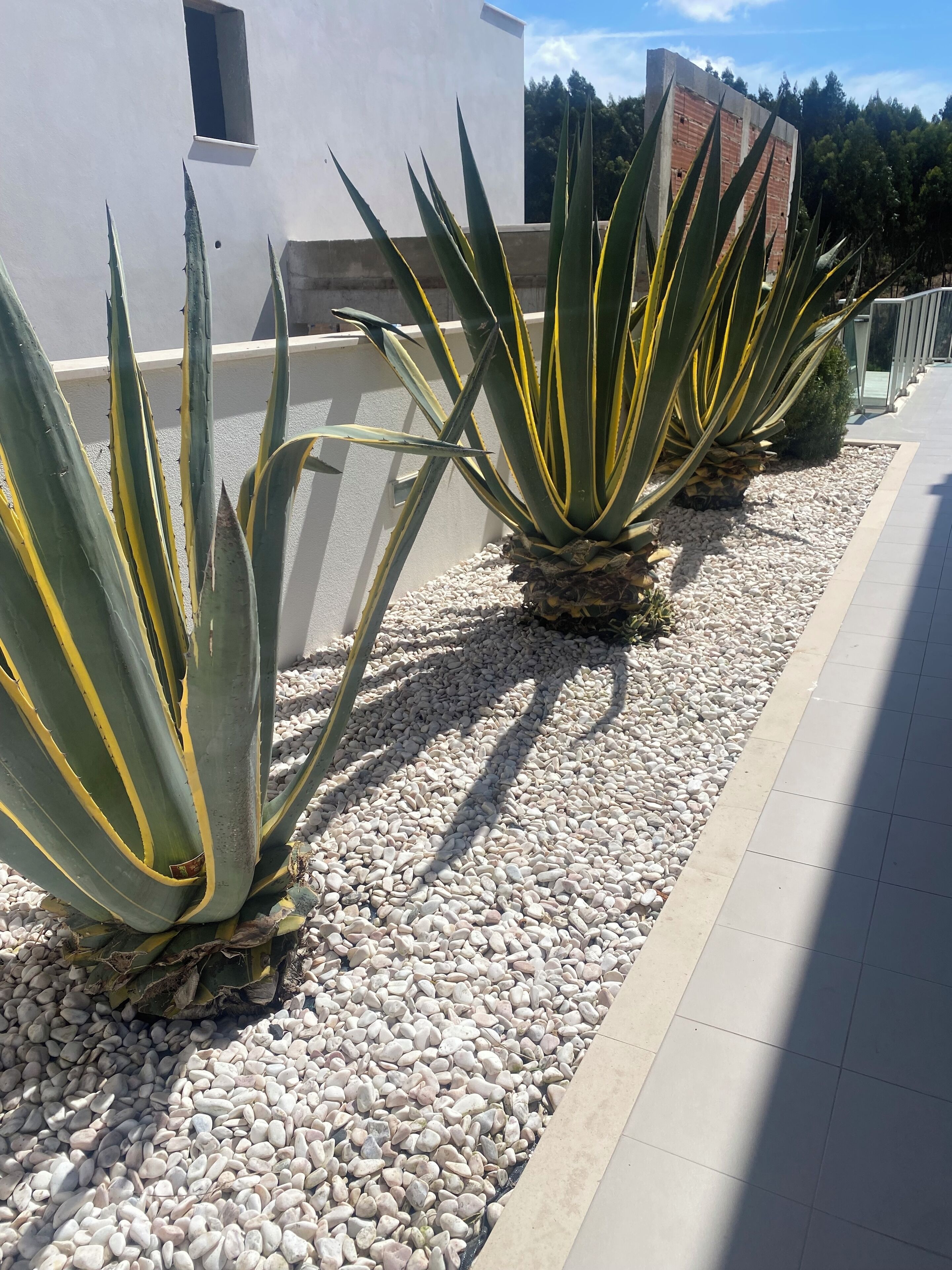 Detall de l'exterior