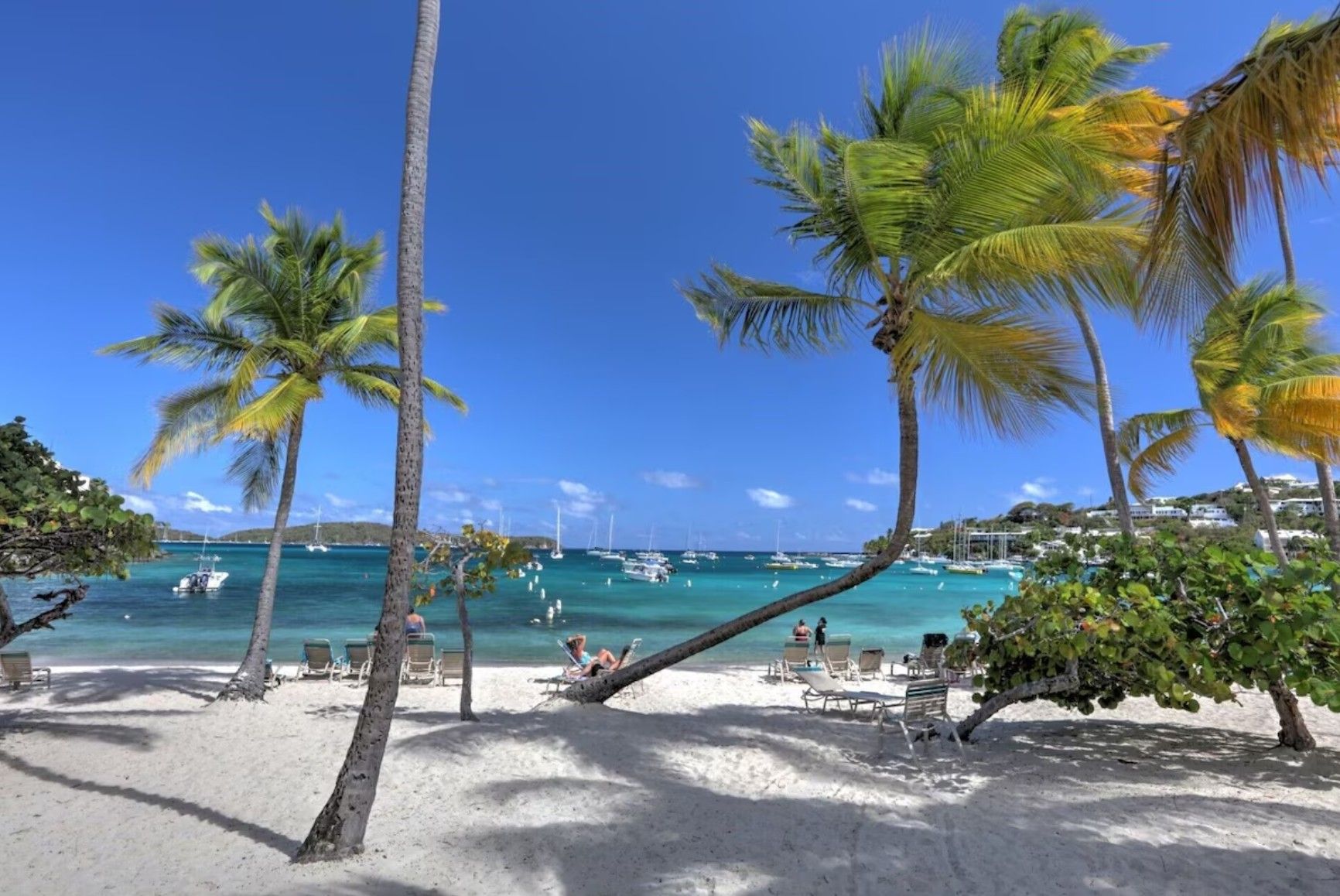 Una playa con palmeras, sillas de descanso y un mar azul cristalino.
