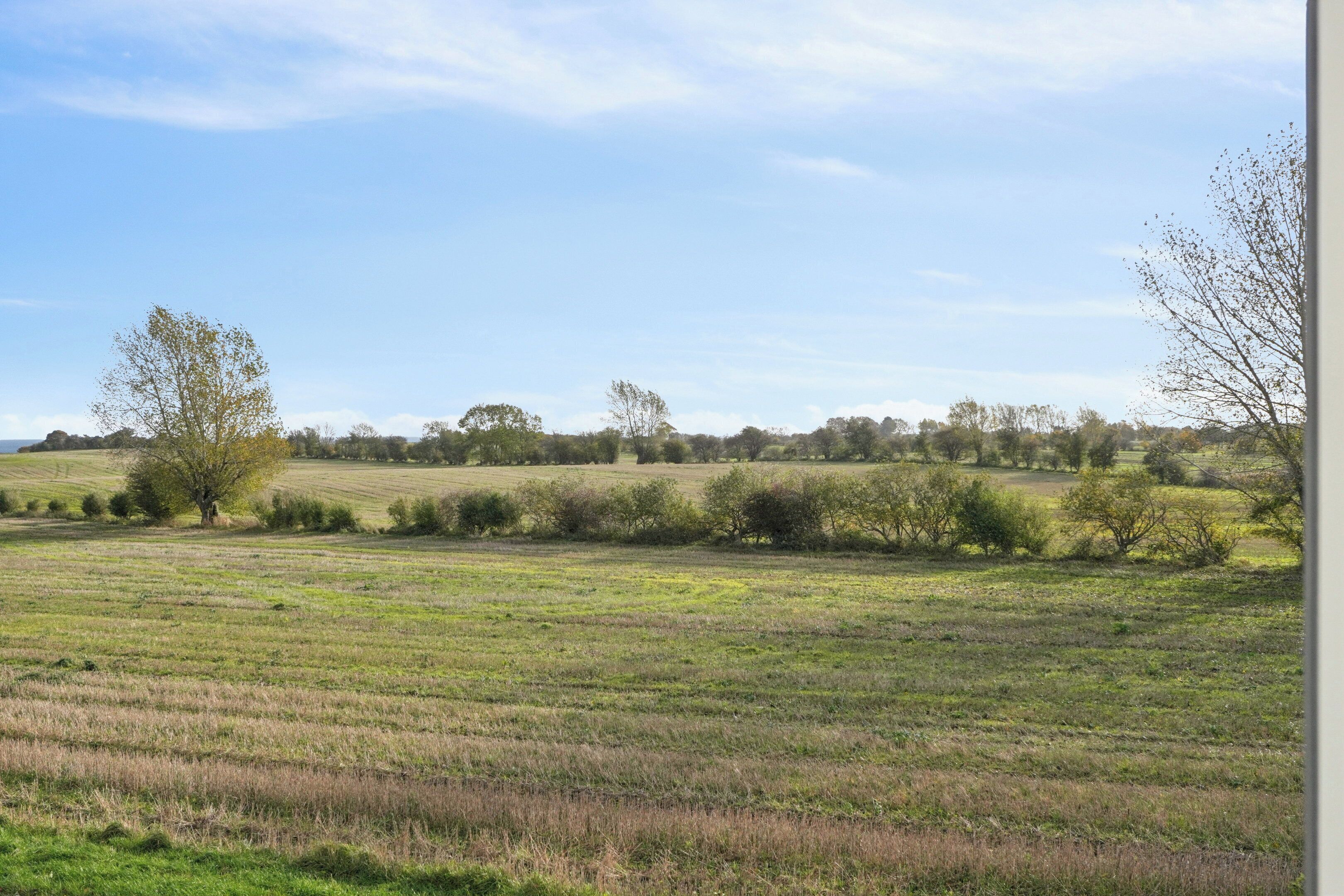Un paysage rural caractérisé par de vastes champs et des arbres dispersés.