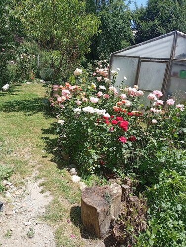 Los Colibríes duplex for rent (pet friendly)