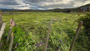 A rural landscape with a field, a wooden fence, and houses in the background. - Los Colibríes duplex for rent (pet friendly) (Chubut)