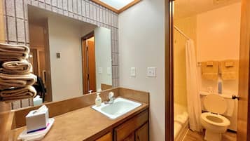 Hair dryer, towels, soap, toilet paper