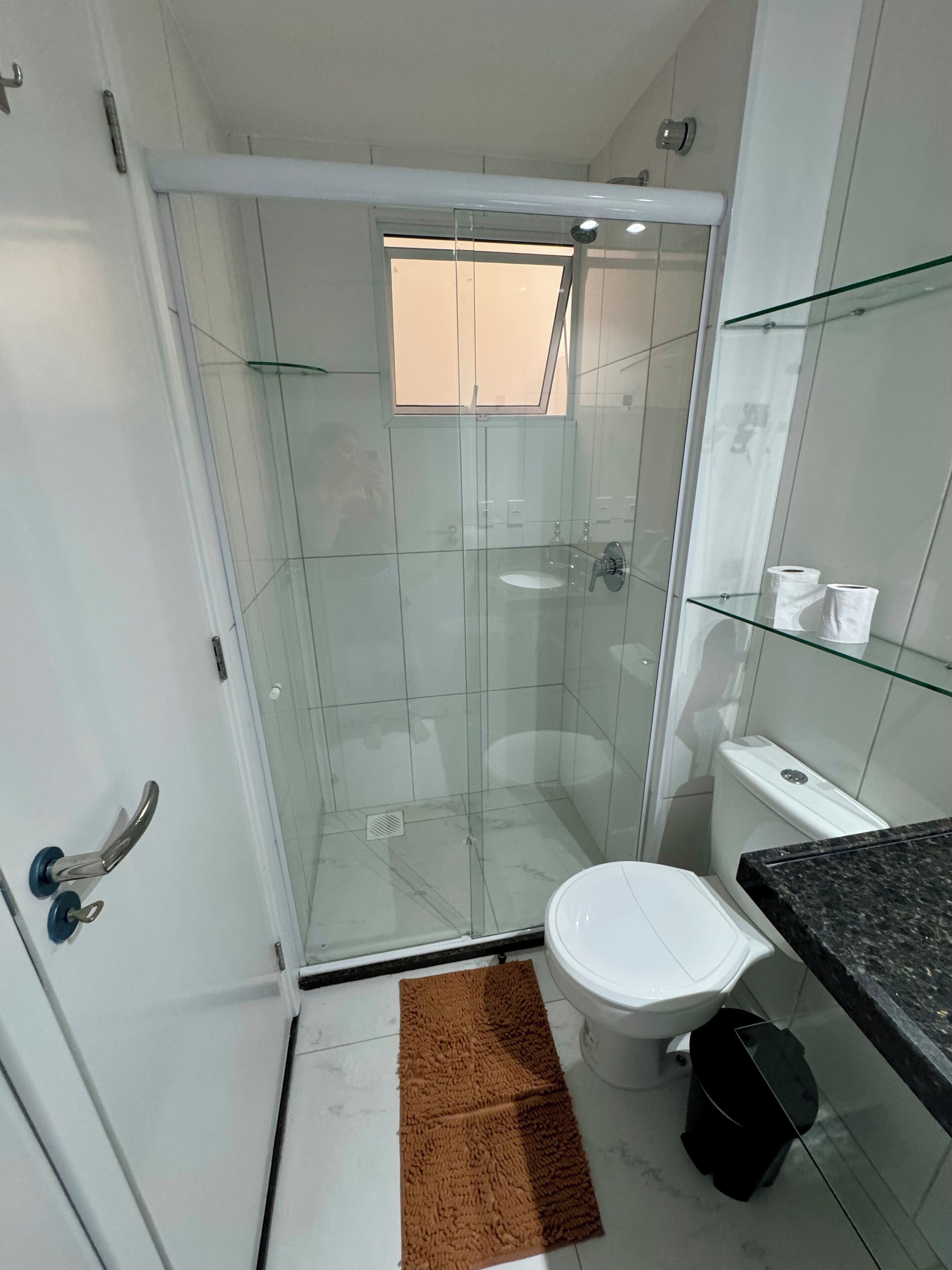 Une petite salle de bain moderne avec une douche à parois de verre, des toilettes et une étagère en verre où sont rangés les articles de toilette.