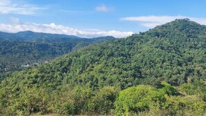 A mountainous landscape with dense green vegetation and a clear sky. - Blue Hills View - Serviced Villa in Attapadi,Kerala -rooms with mountain view (Attapadi, Palakkad)