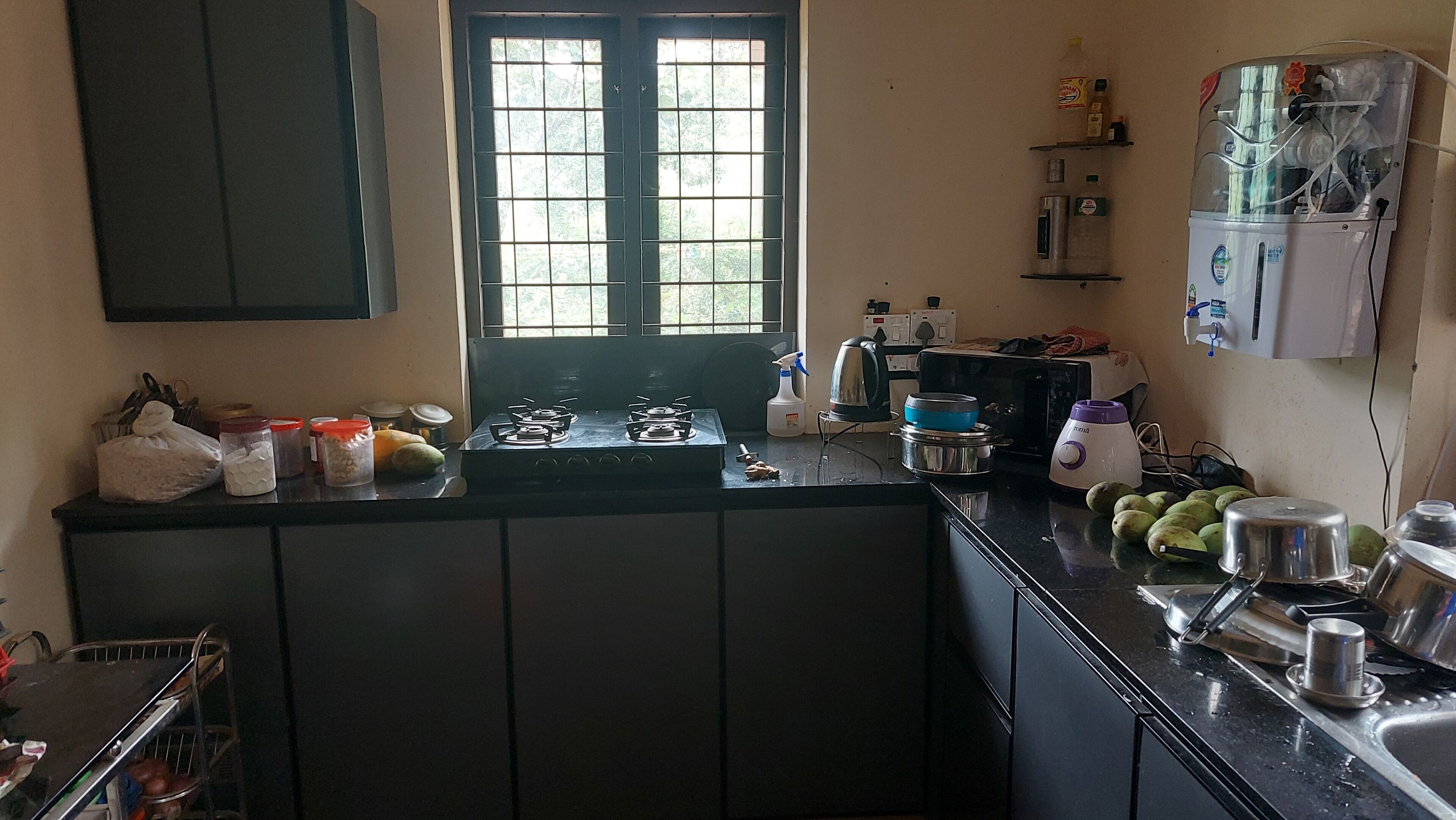 Microondas, horno, placa de cocina