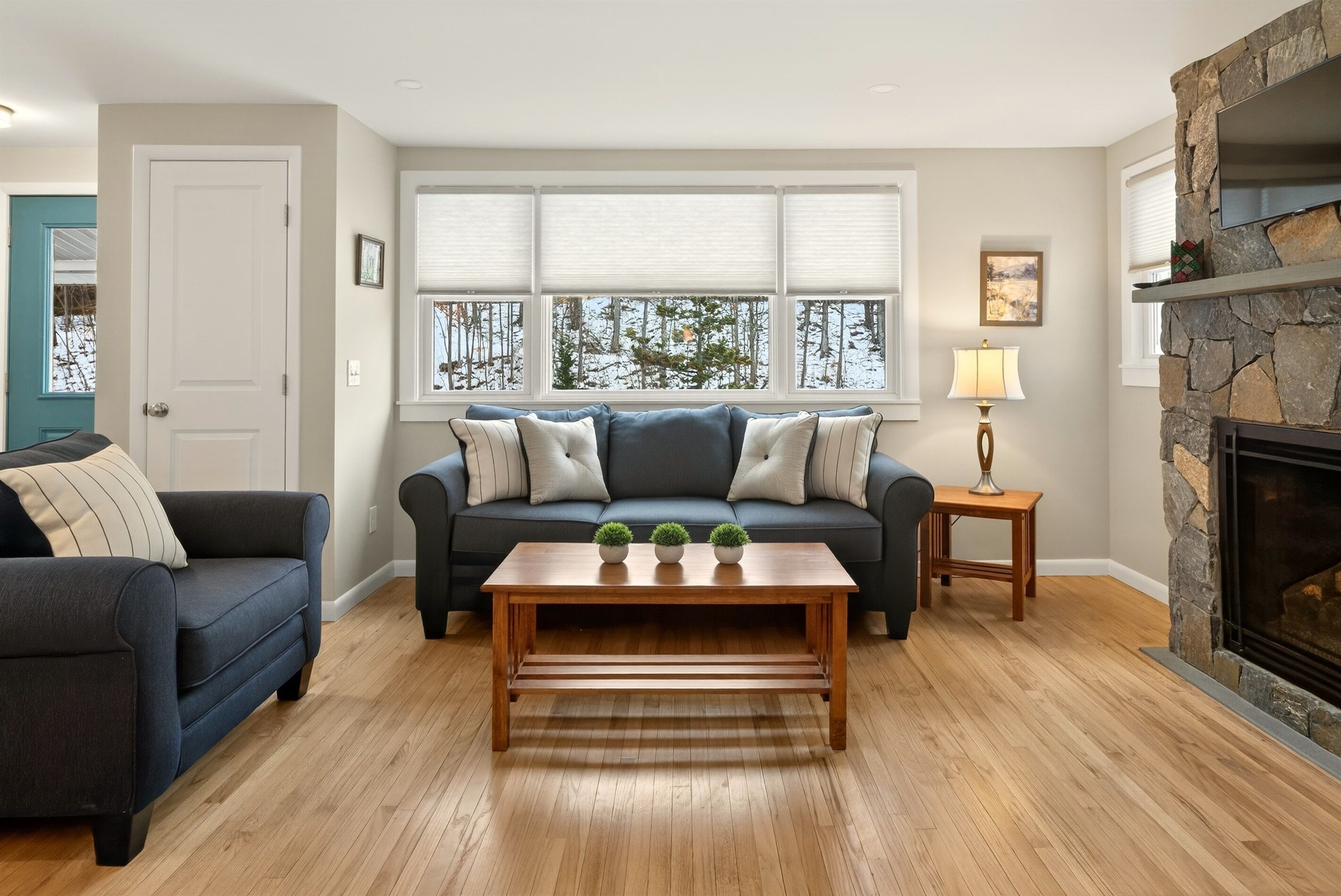 Smart-tv, pejs, bordfodbold