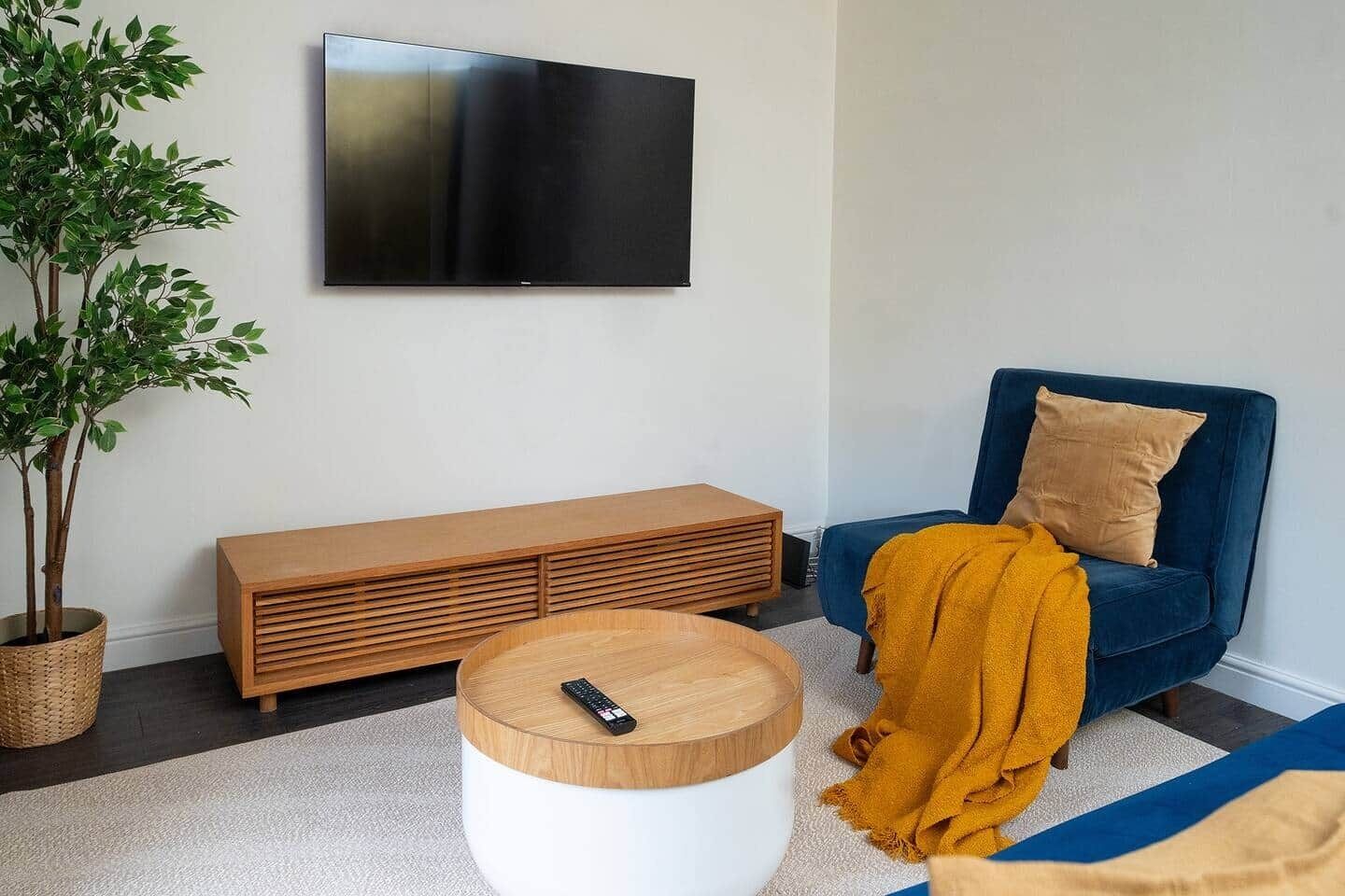 TV, computer monitors