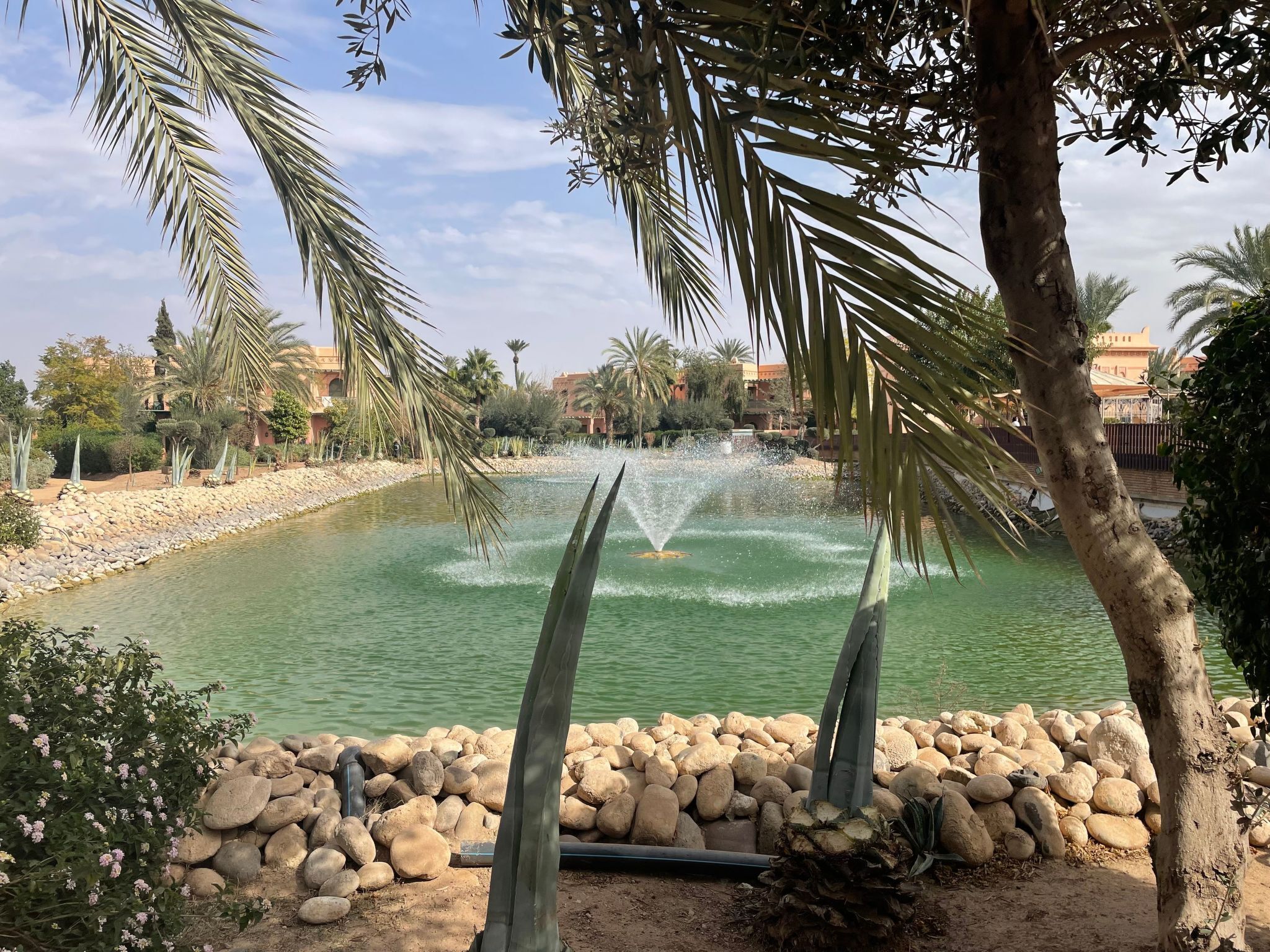 Terrain de l’hébergement 